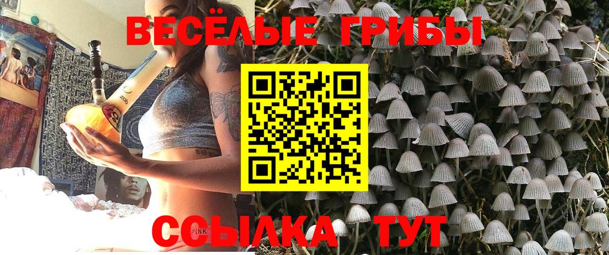 Галлюциногенные грибы Magic Shrooms Рассказово