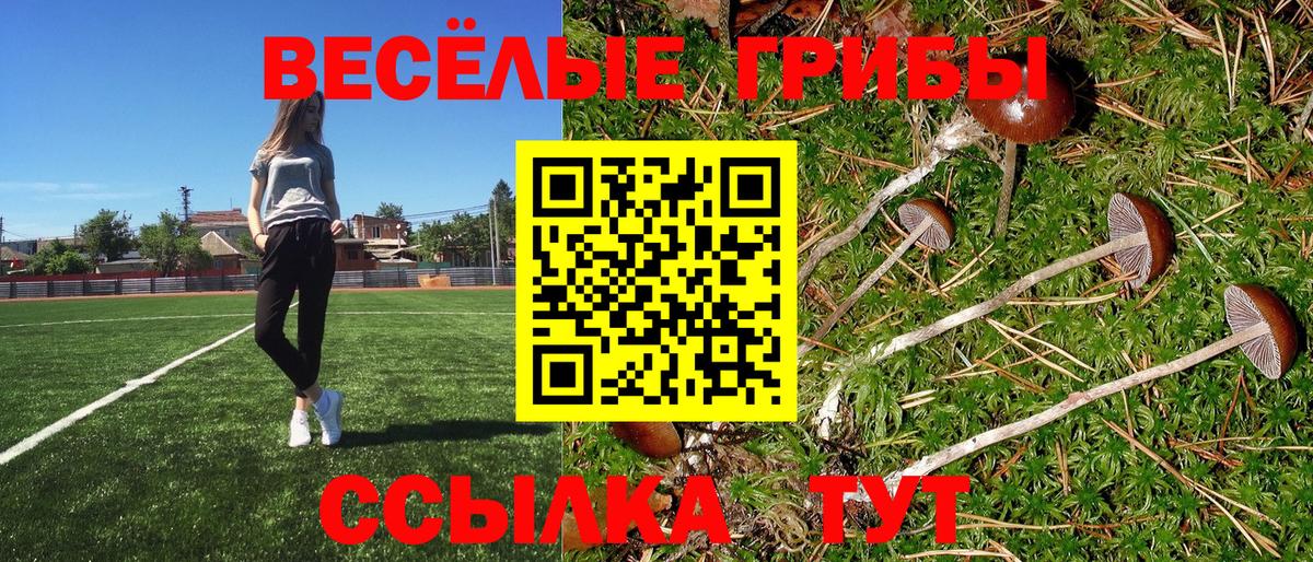 Псилоцибиновые грибы мицелий  Вход с VPN  Рассказово 